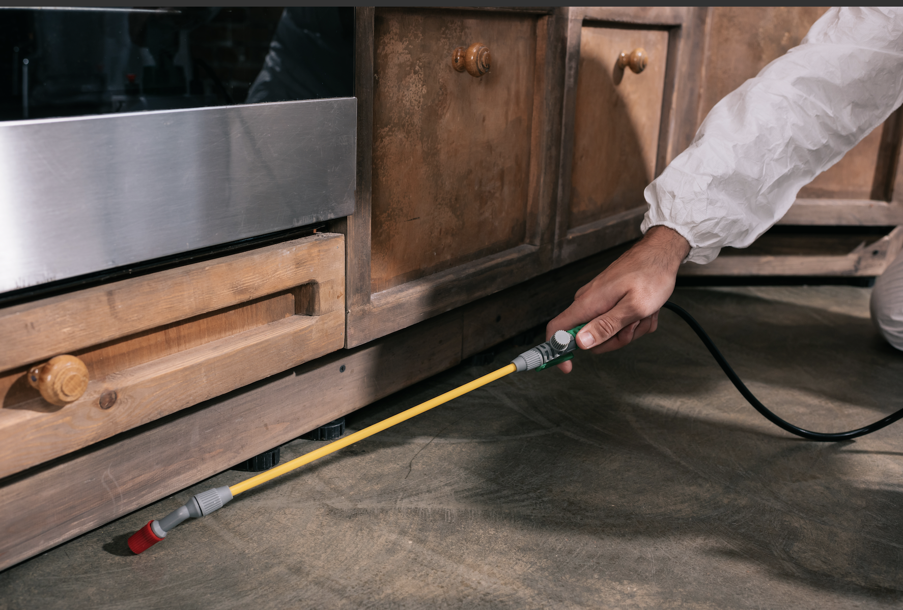 Pest control Singapore