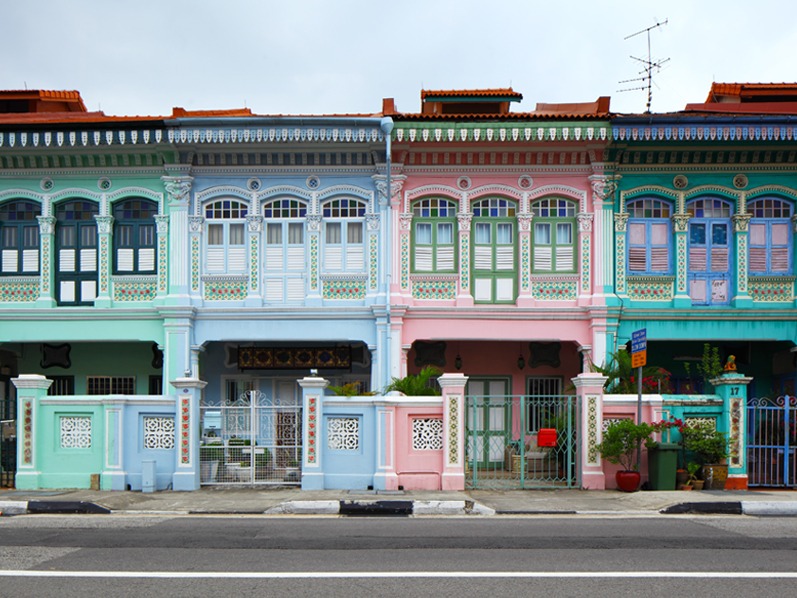 termites control singapore