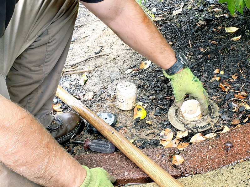 termite control services