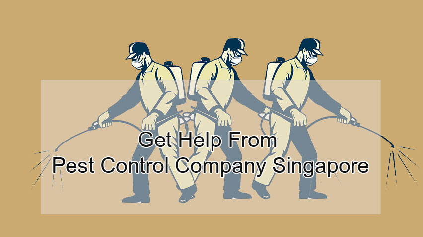 get help from pest control company