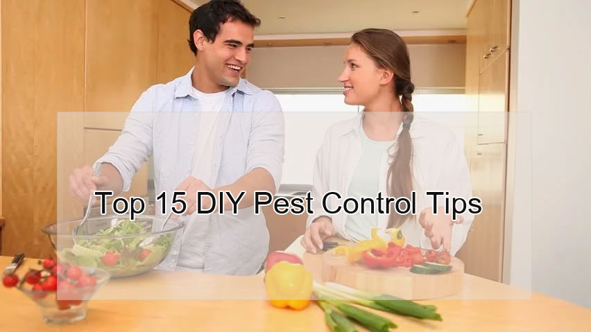 pest control tips