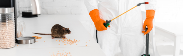 Pest Control Operator