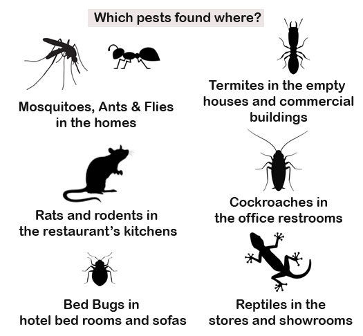 Which pests are found where