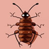 Bed bugs Control in Singapore