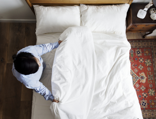 bed bug singapore