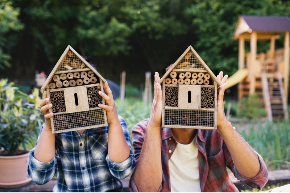 termite control services