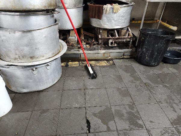 pest control in singapore