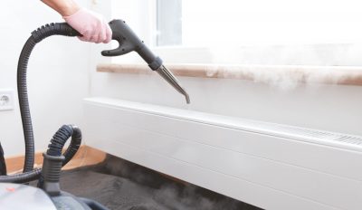 bed bug pest control singapore