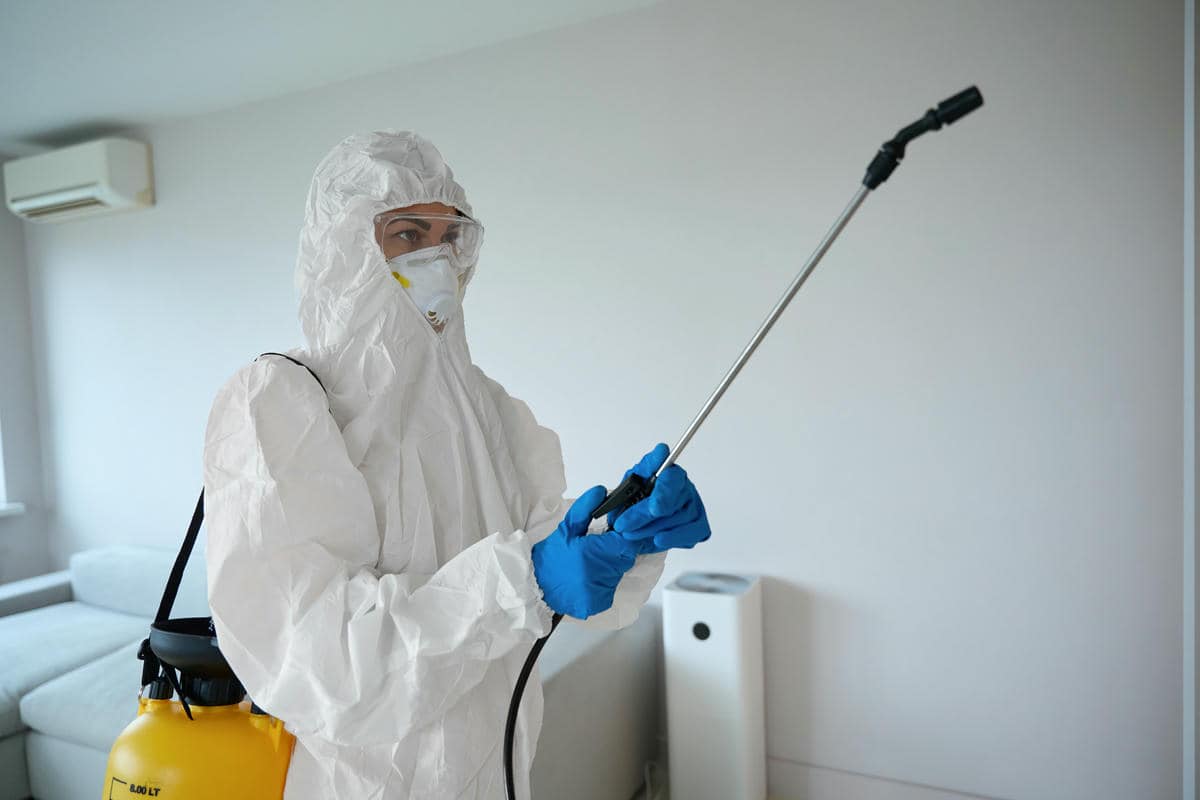 termites control