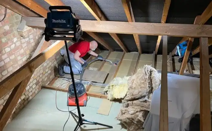 rodent control in singapore