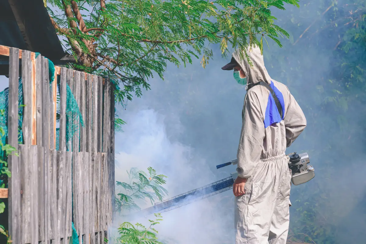 singapore-pest-control