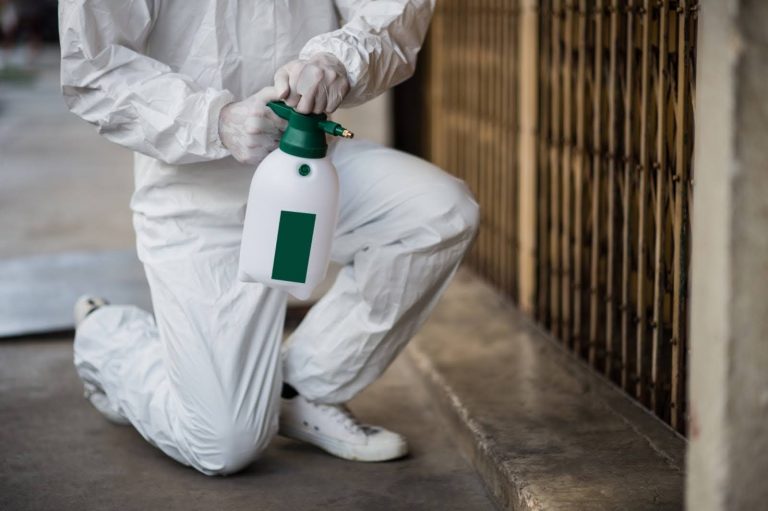 Singapore pests control