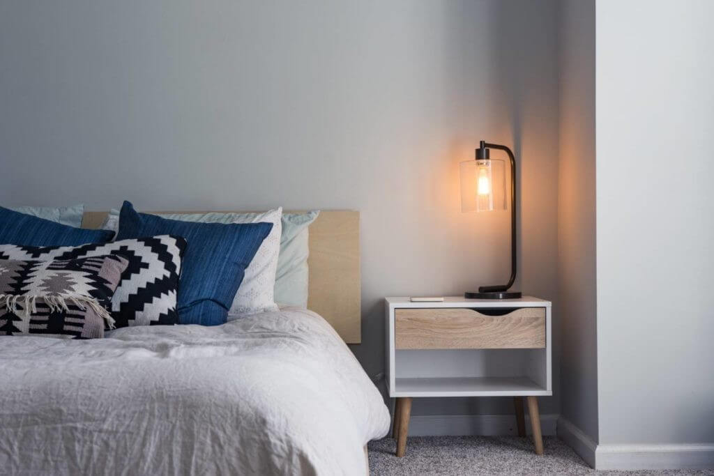 bed bug removal