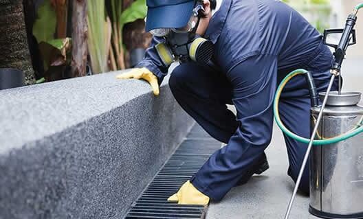 our pest man checking the drainage of our customers