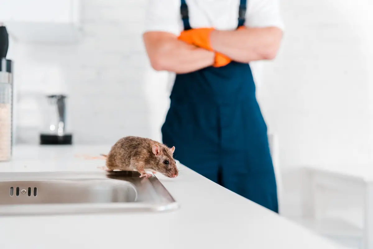 rodent-control