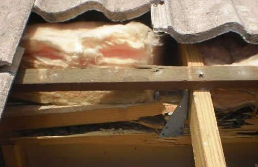 termites cause big damage in the roof