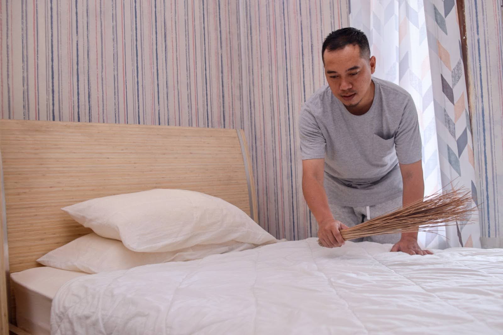 bed bugs