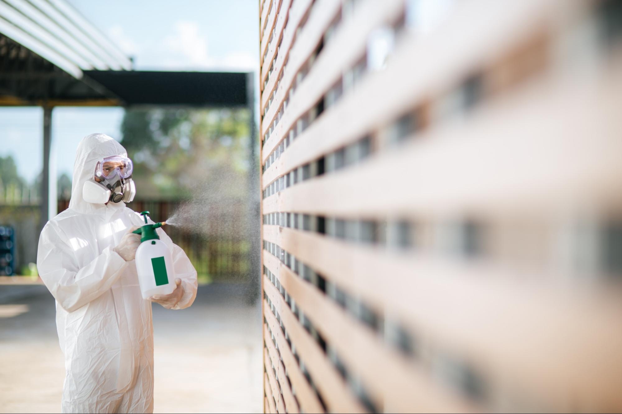 Termite Control