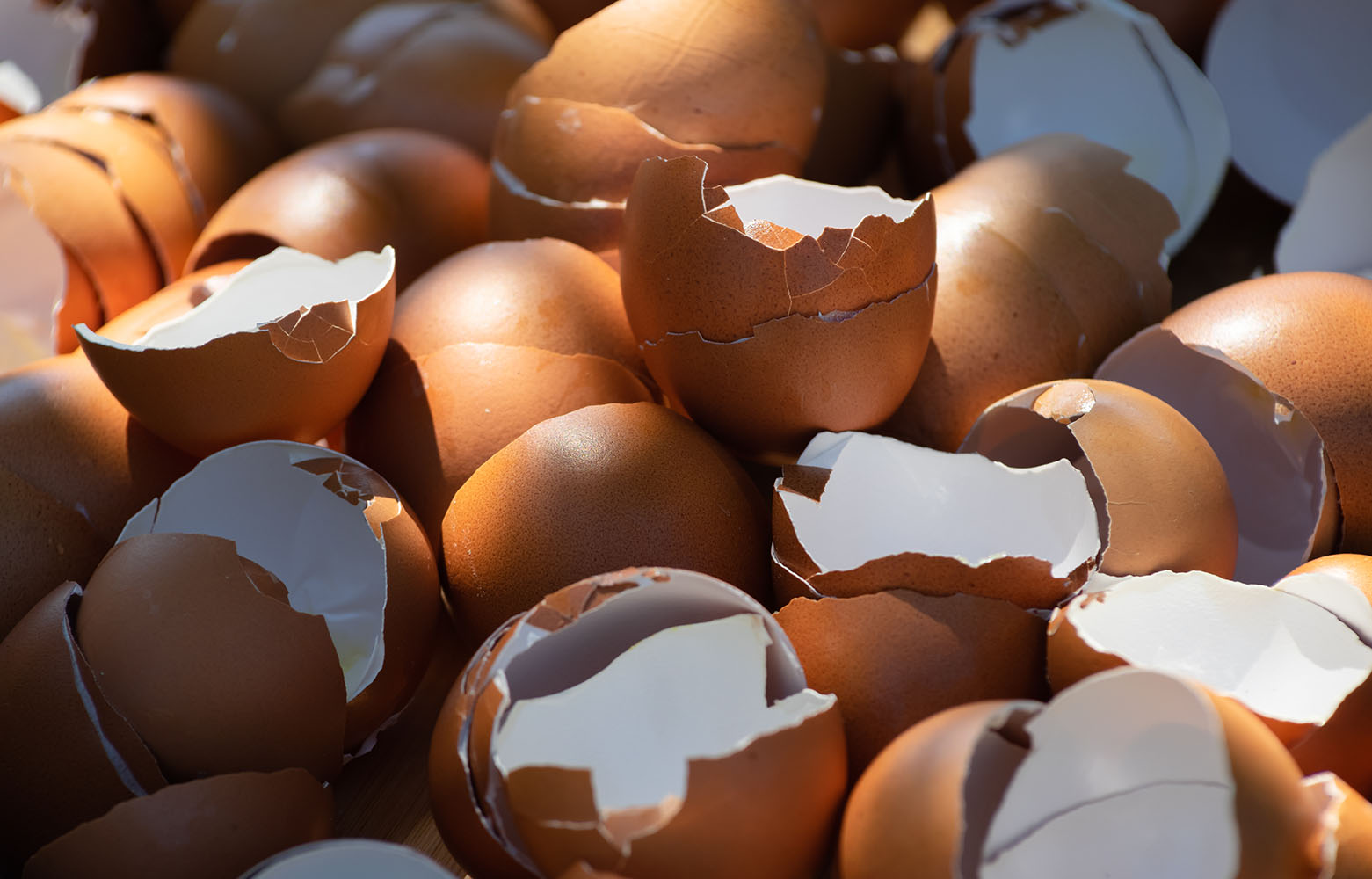 unwashed egg shell for pest