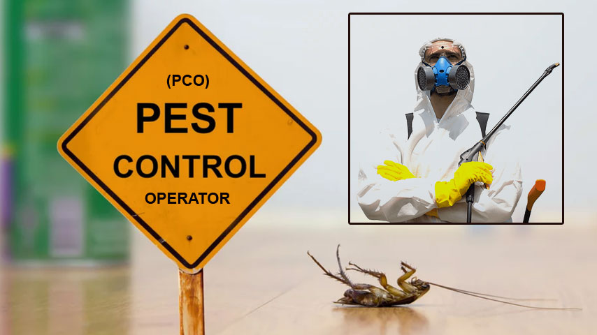 What can Pest Control Singapore Company Help You With?