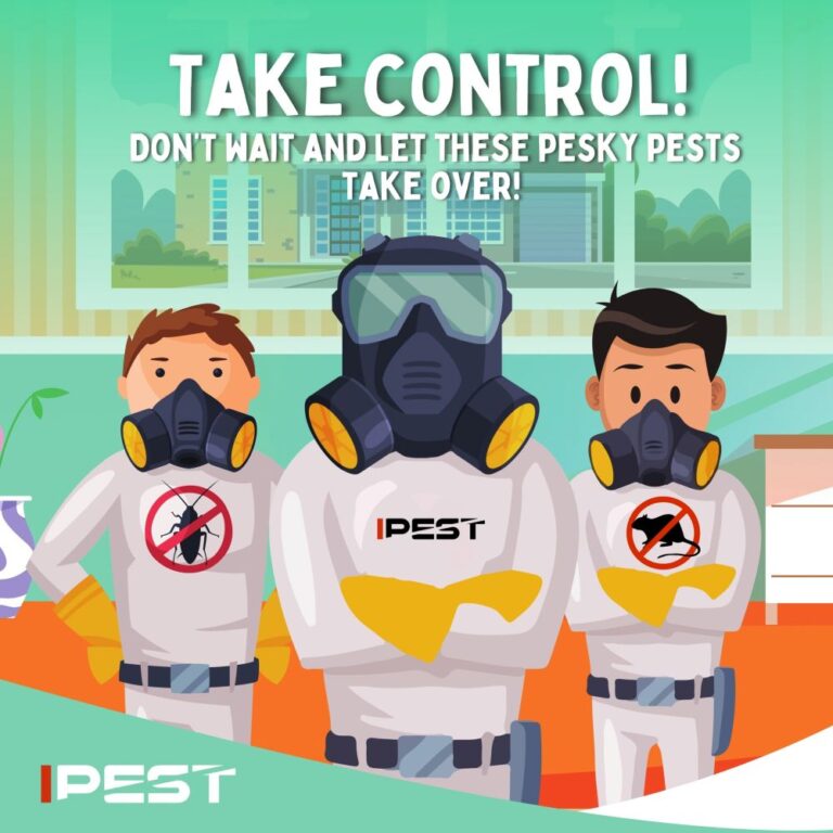 Cockroach Control