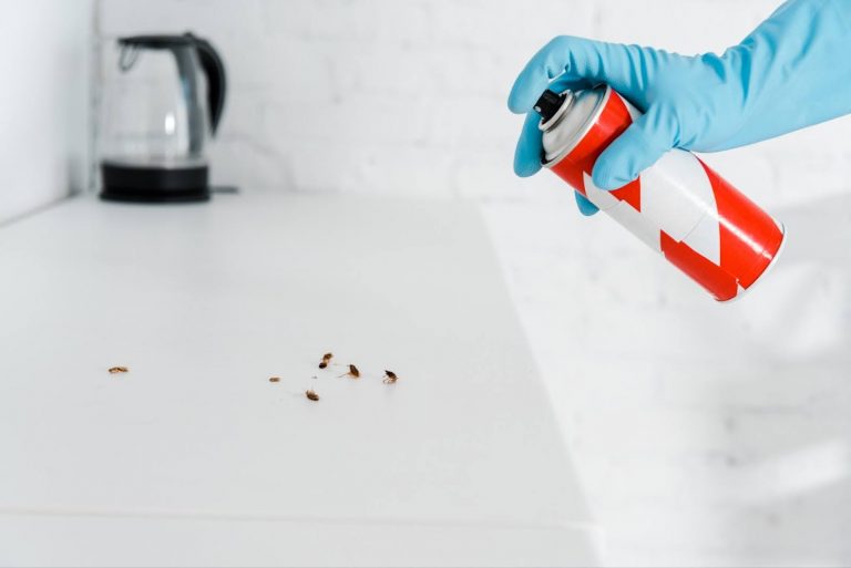 Indoor Pest Control