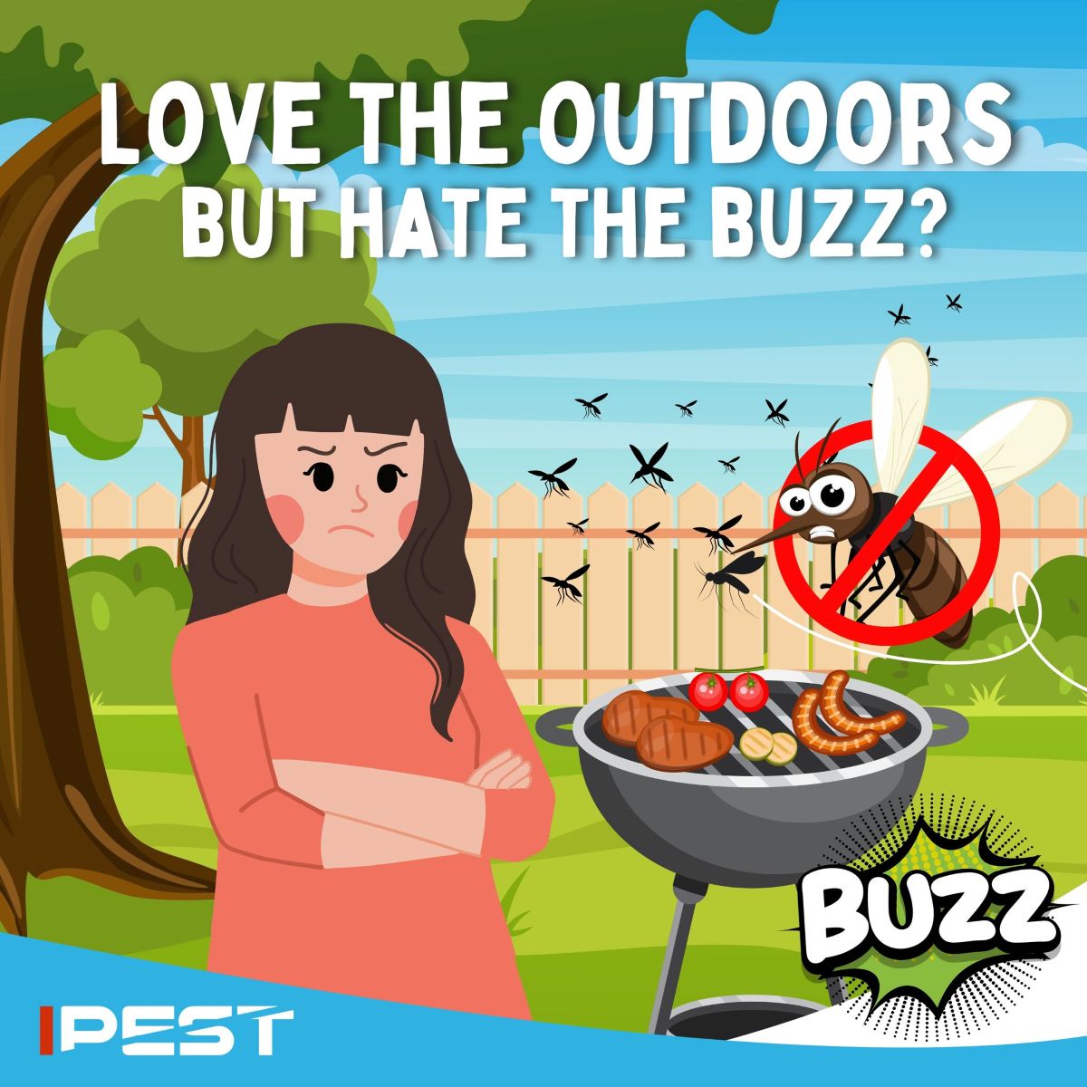 Singapore Mosquito Control
