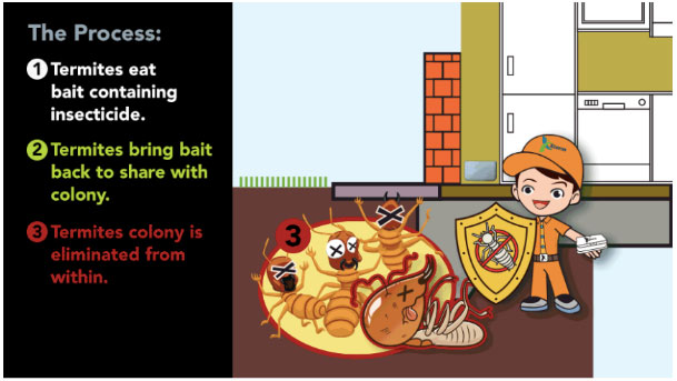 concepts for baiting