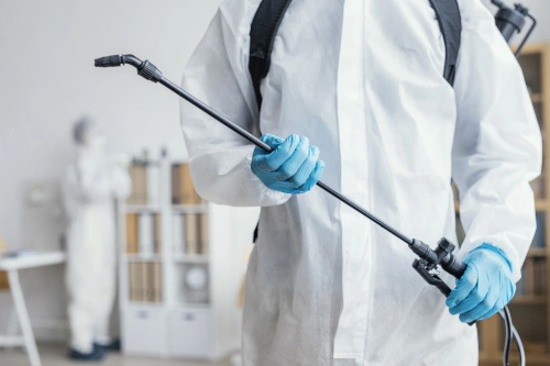 effective bed bug control methods for safe and successful bed bug removal