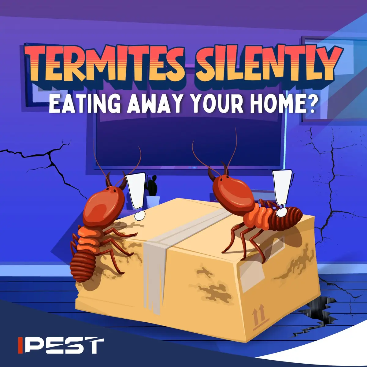 killing termites in Singapore