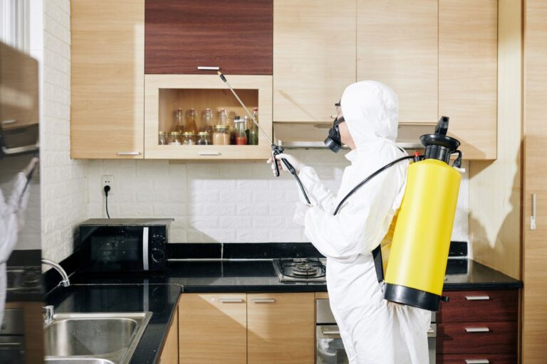 Pest-Control-in-Singapore