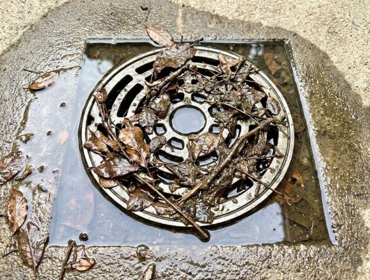 drains and dully traps