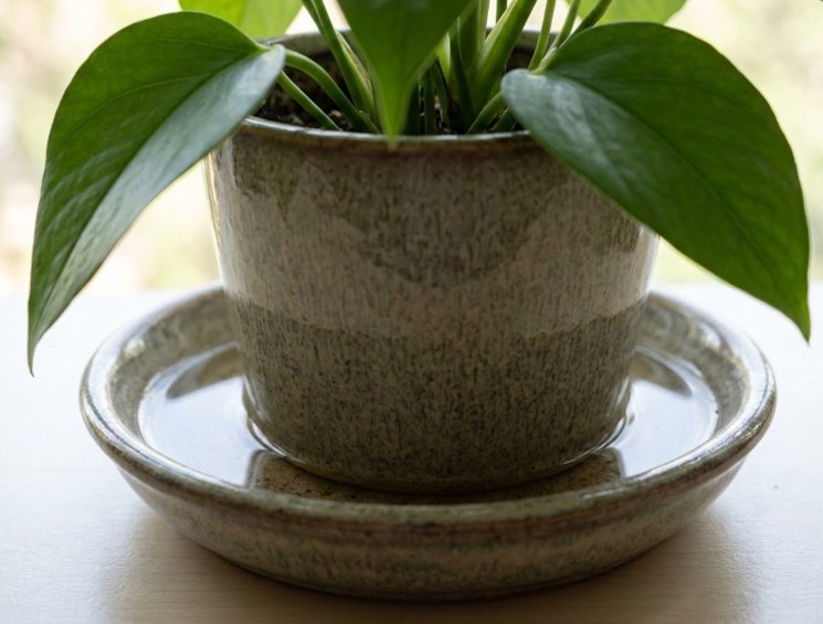flowerpot plates and trays